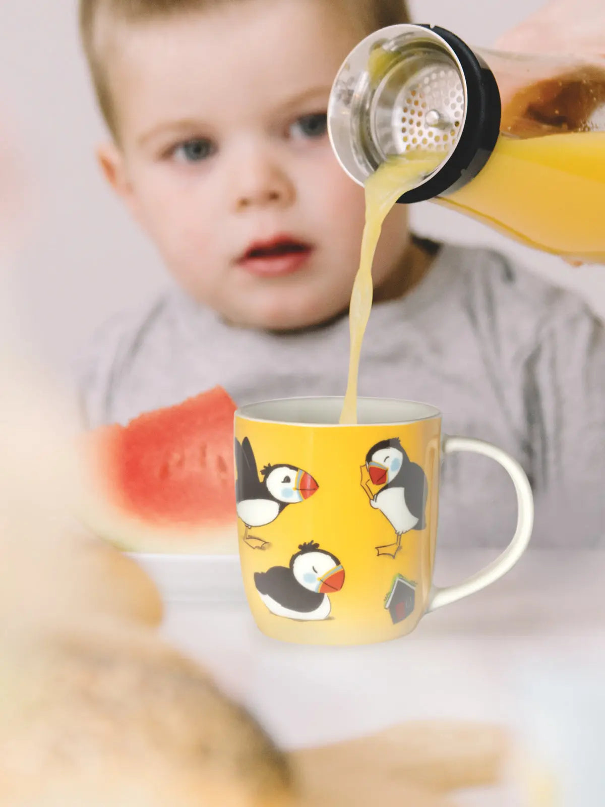 Lundaland cup - Gulur 2024 FJORD