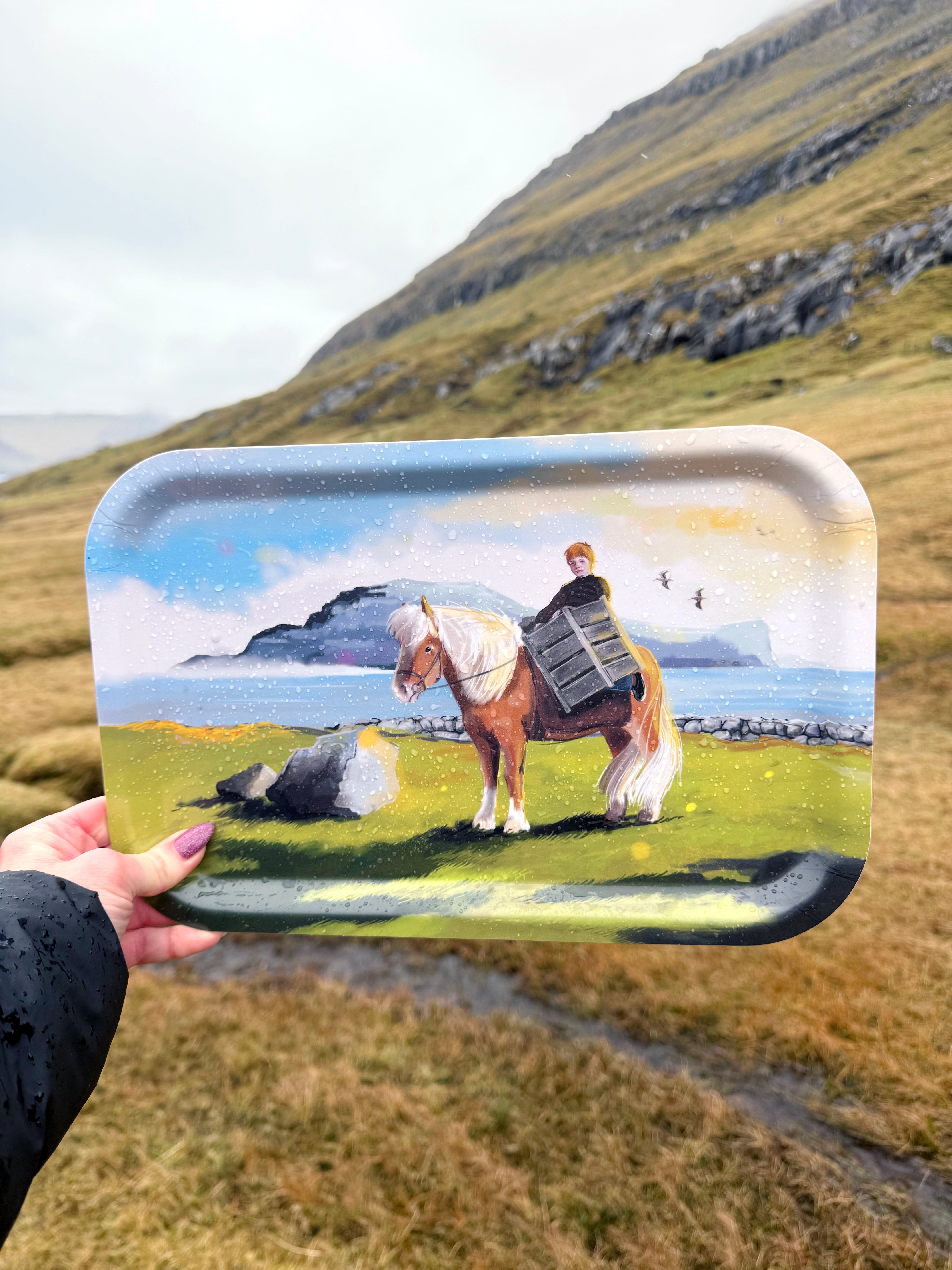 Bakki - Burtur á heiði