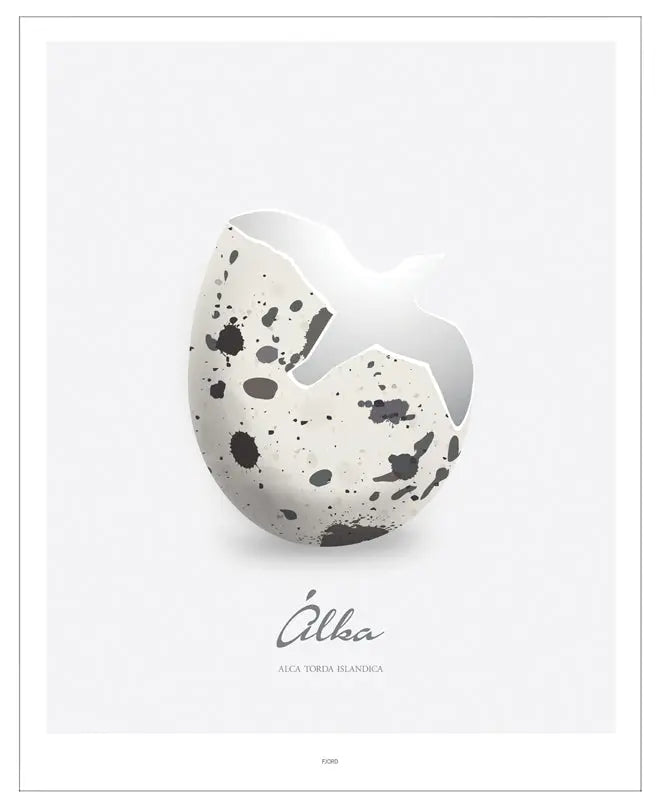 Poster - Álka FJORD