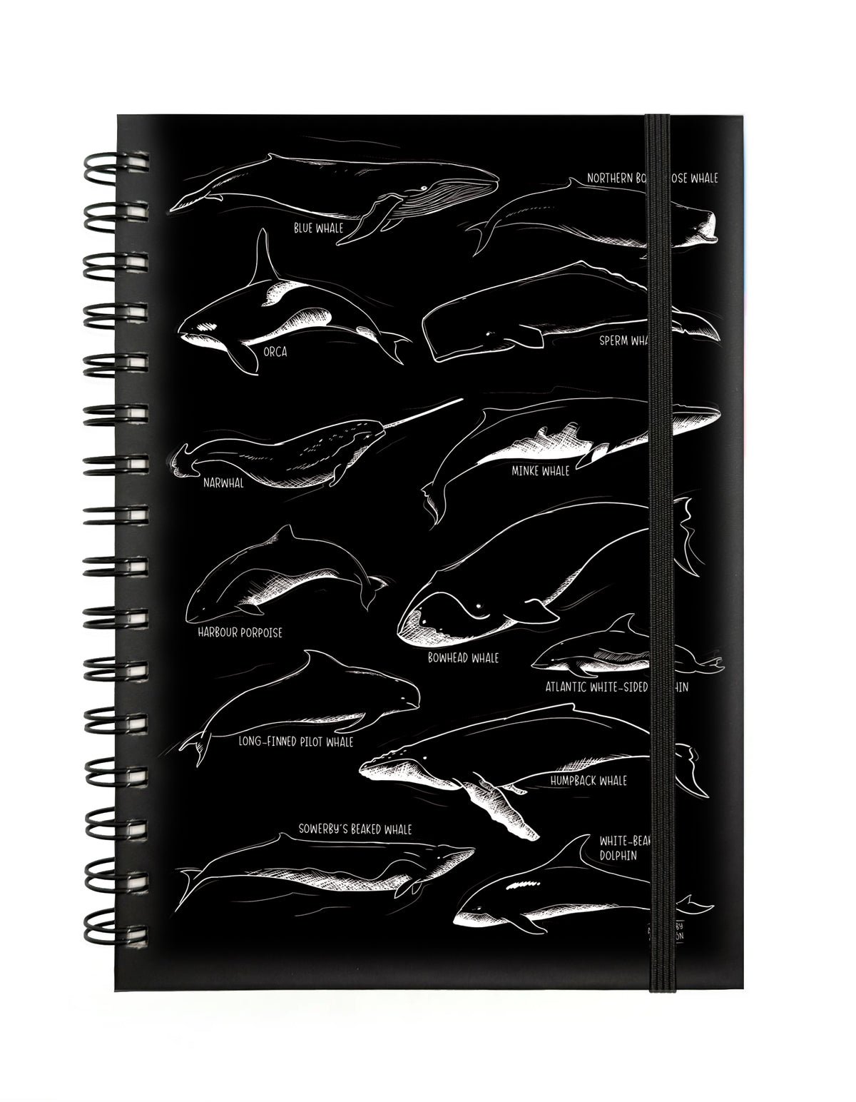 Notebook - Whales - Black