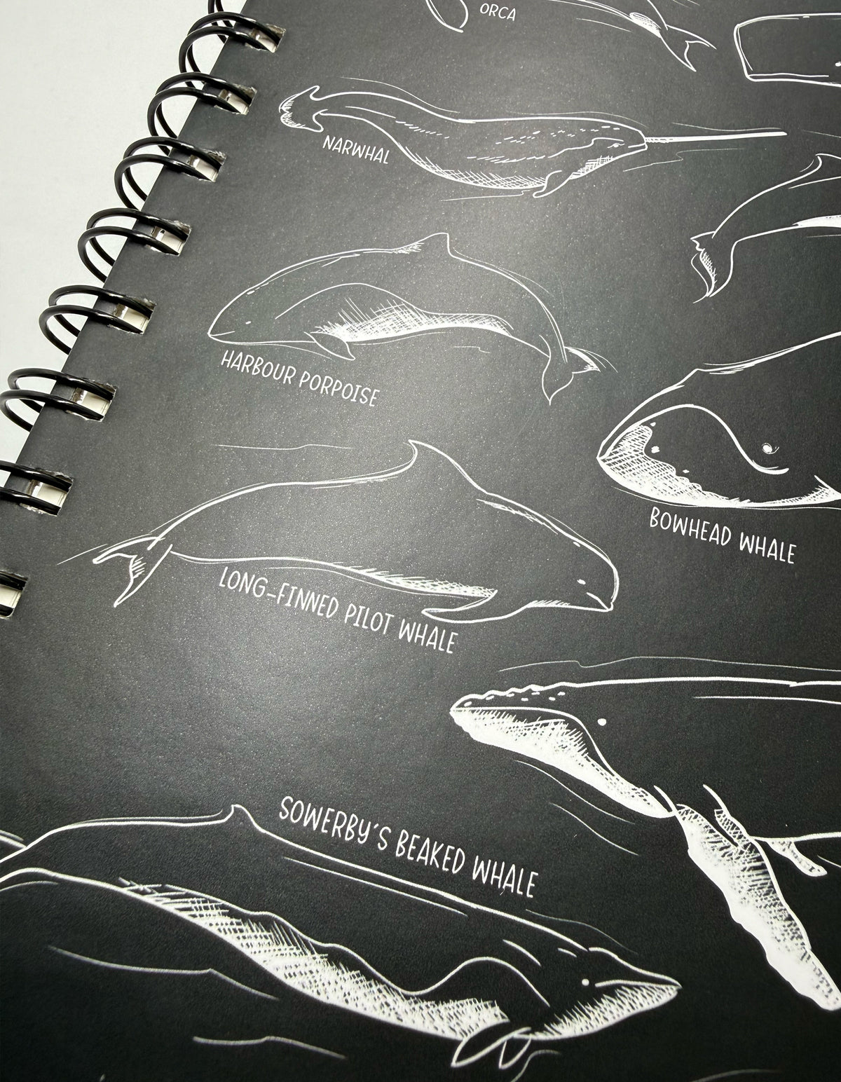Notebook - Whales - Black