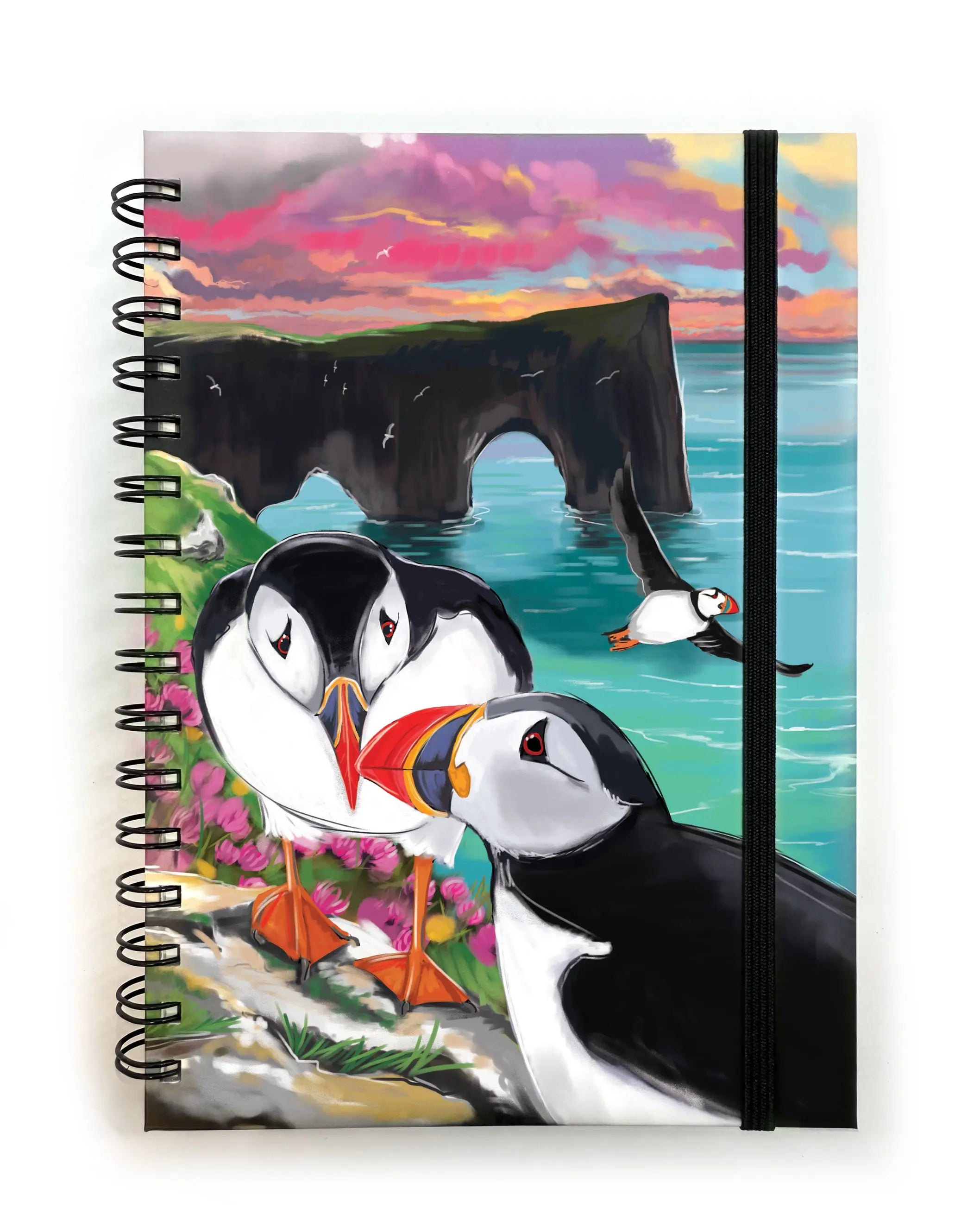 Notebook - Puffins at Dýrholaey Fjord