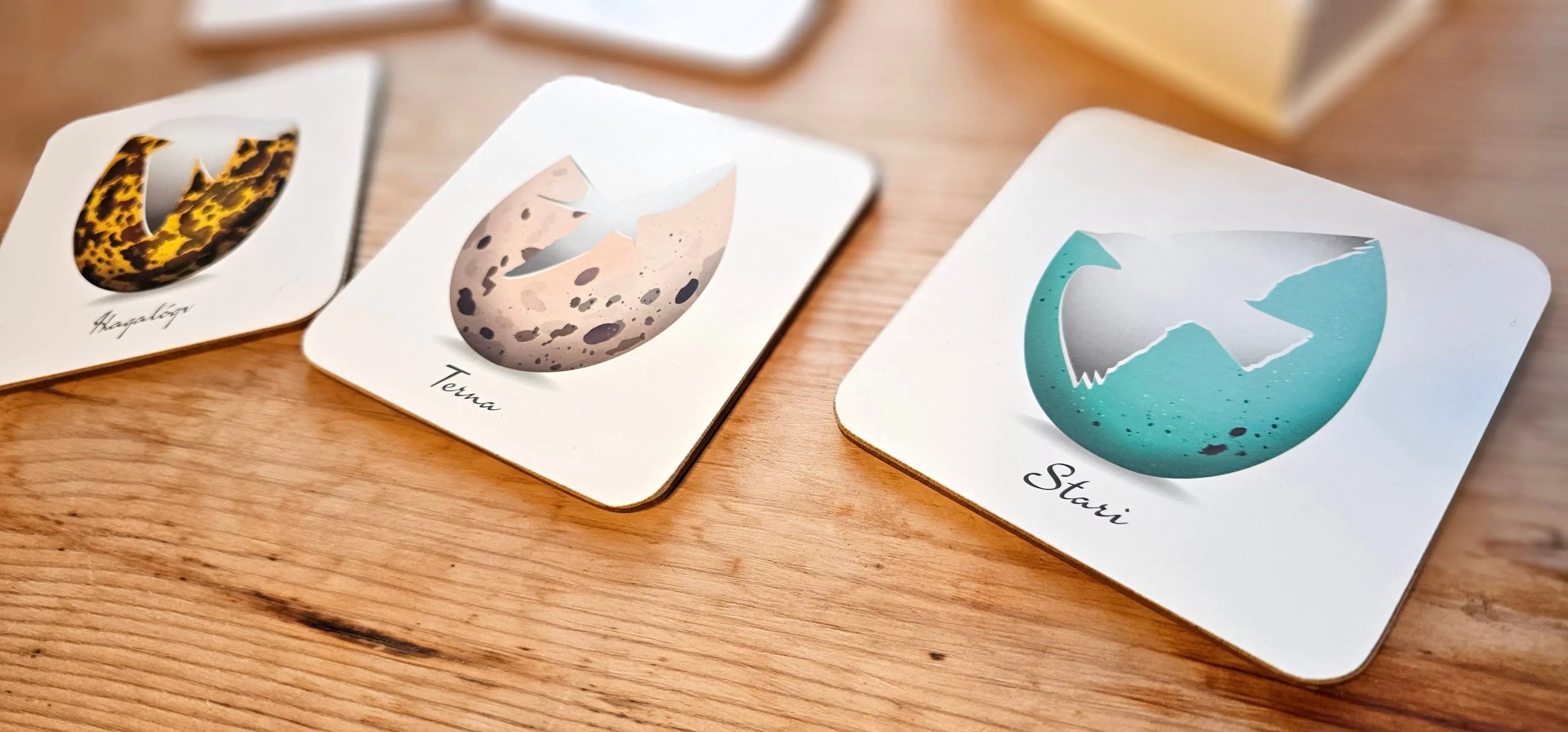 Coaster Set - Egg FJORD