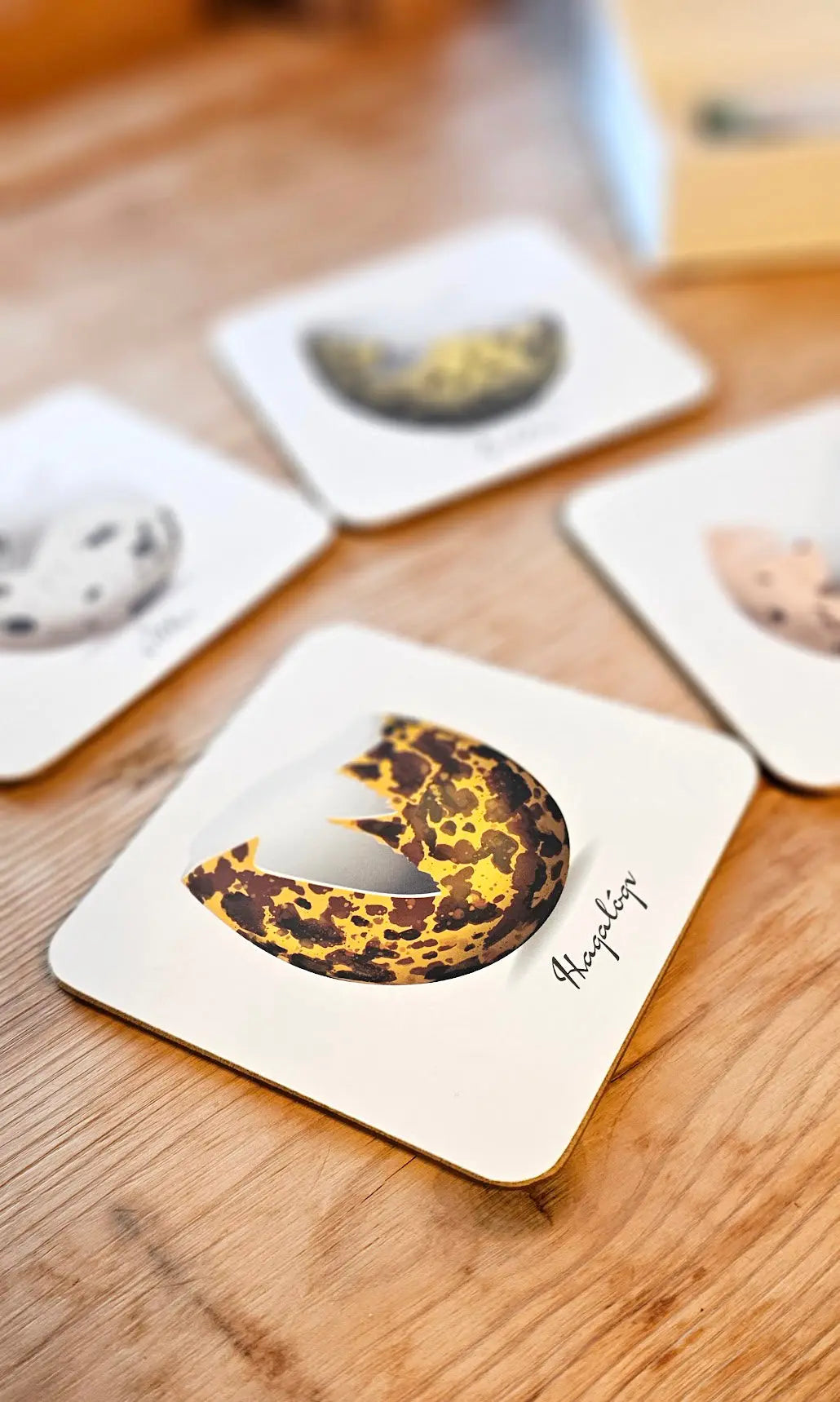 Coaster Set - Egg FJORD