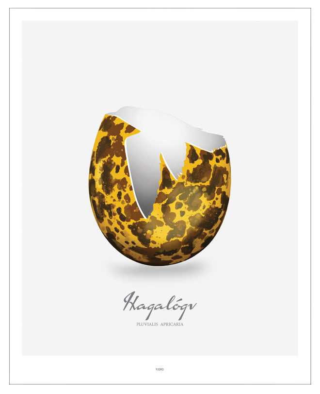 Plakat - Hagalógv