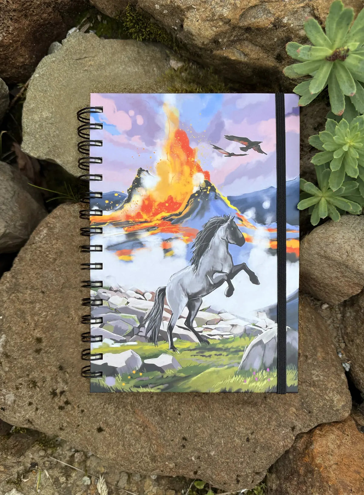 Notebook - Eldgos Fjord