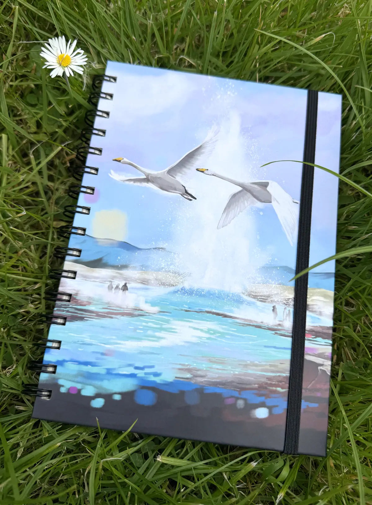Notebook - Geysir Fjord