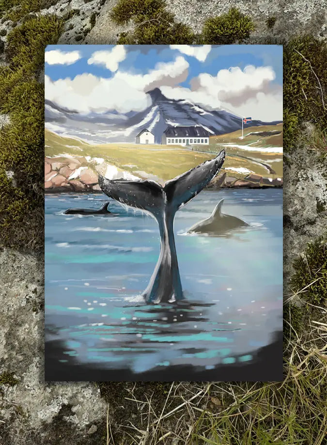 Postcard - Viðey Fjord