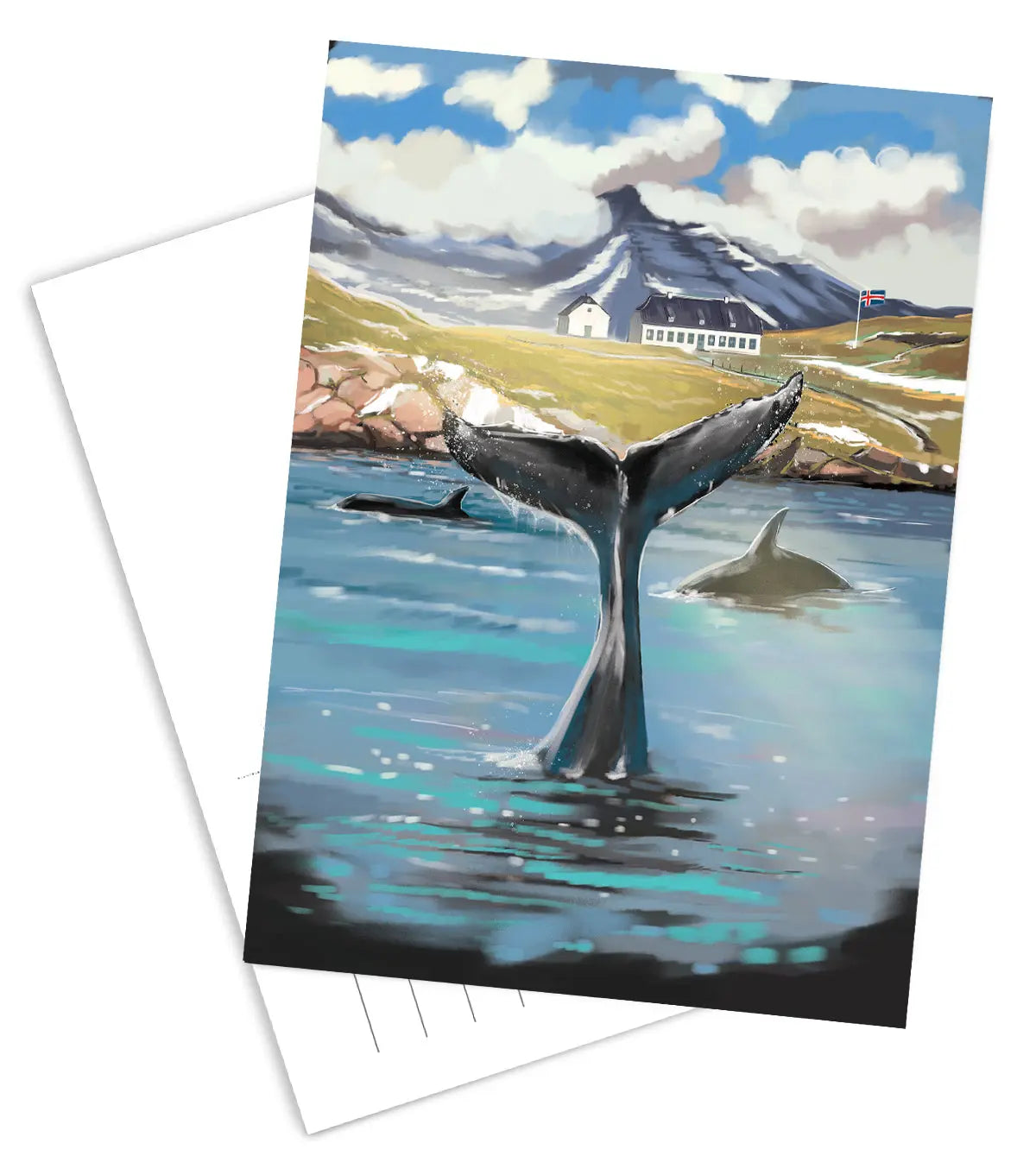 Postcard - Viðey Fjord