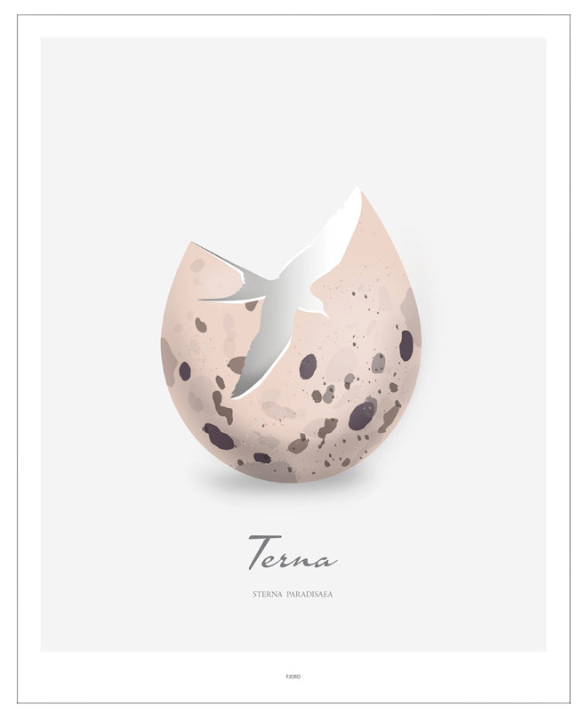 Plakat - Terna