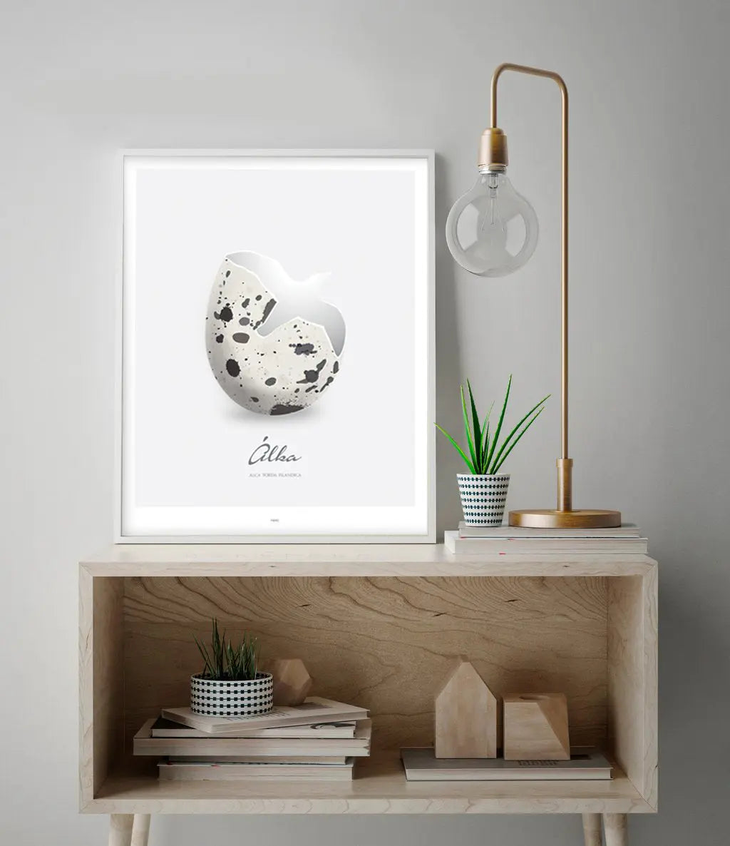 Poster - Álka FJORD