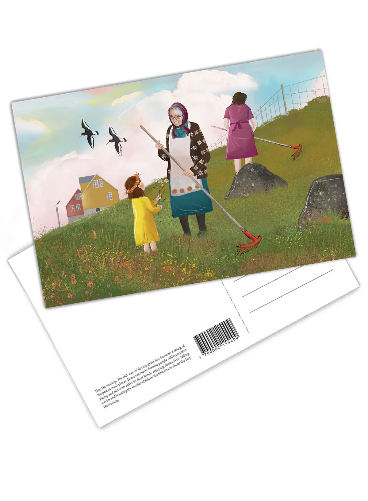 Postcard - Omman FJORD