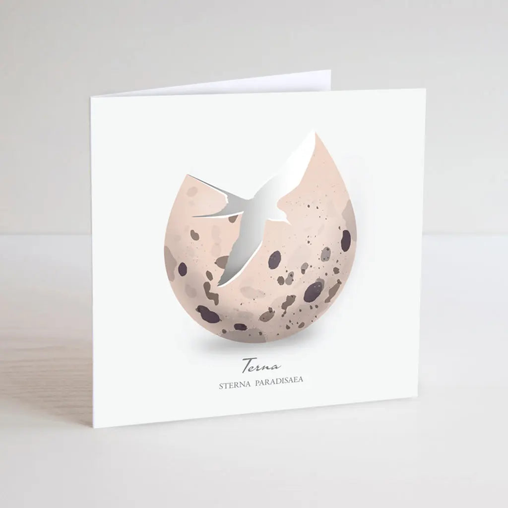 Greeting card -Terna FJORD