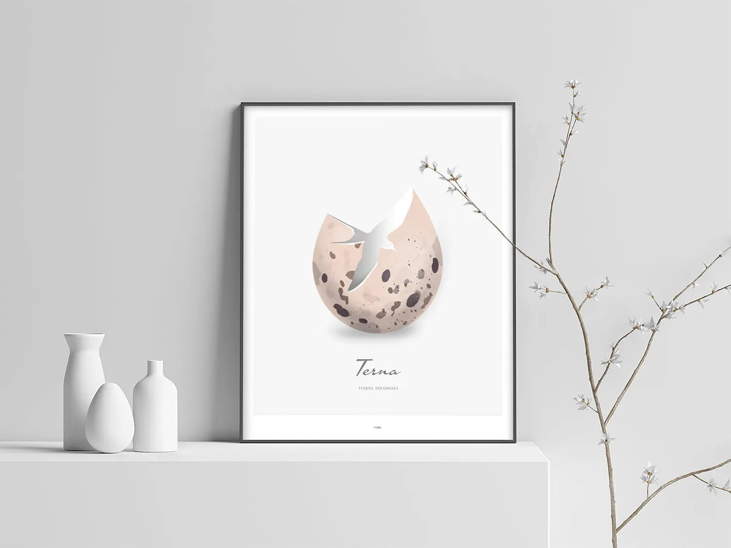 Poster - Terna FJORD