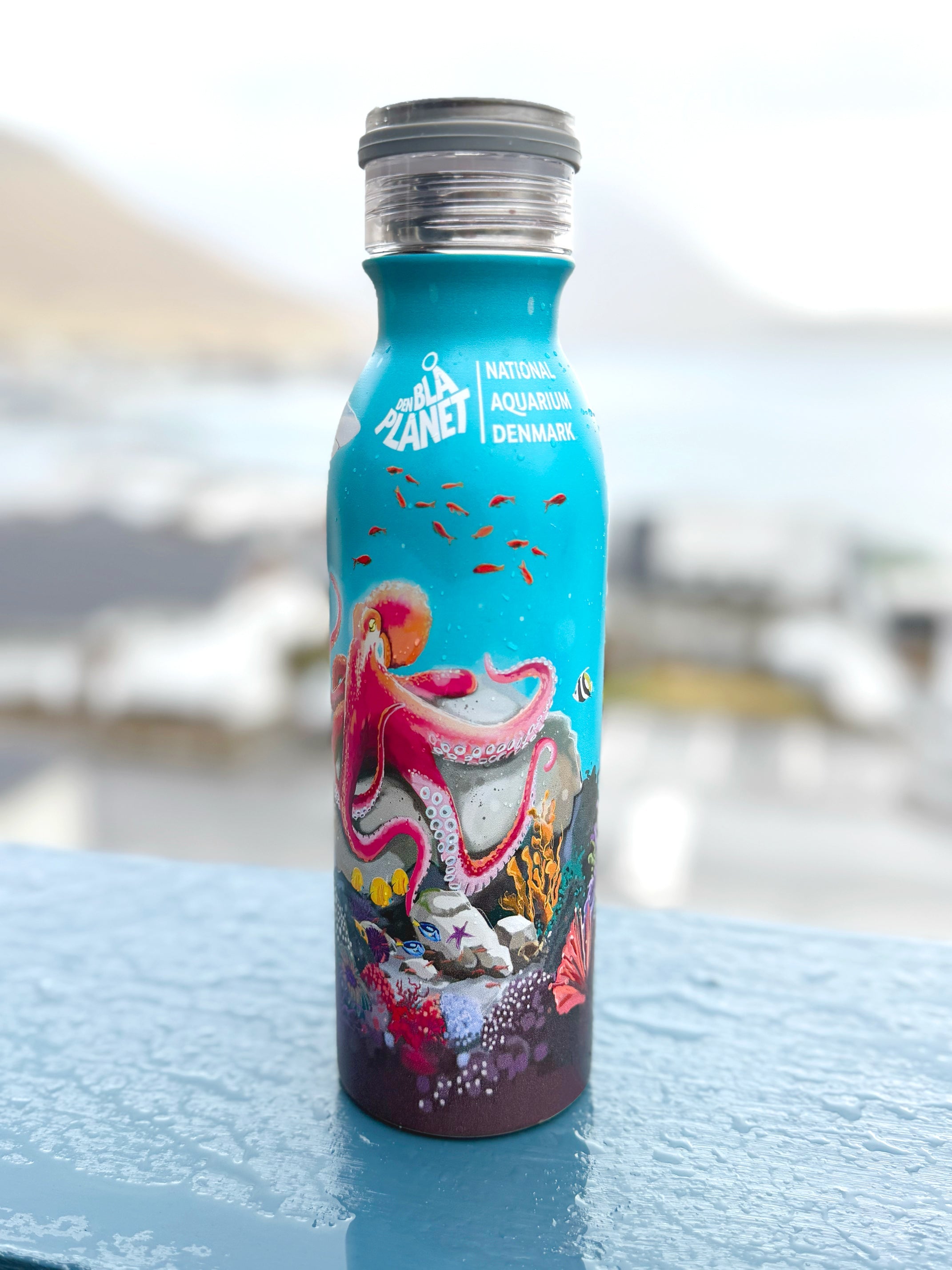 Collaboration FJORD