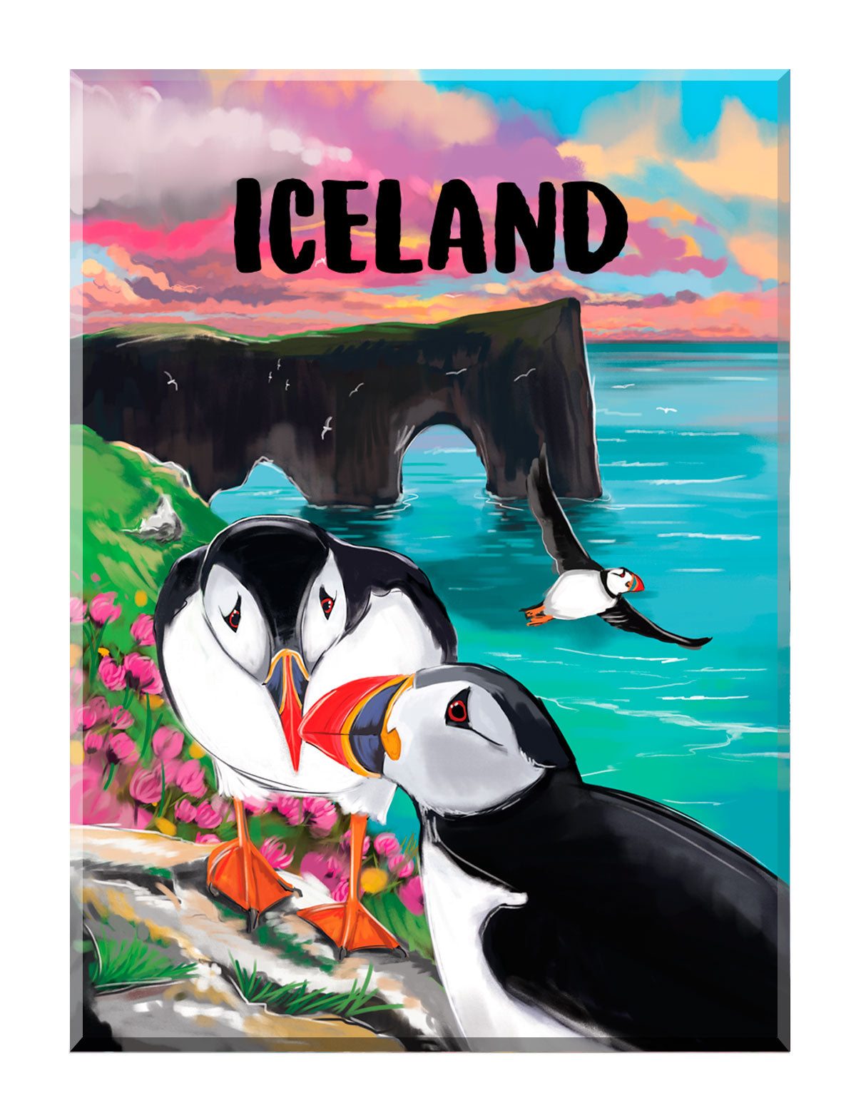 Magnet Puffins at Dýrholaey - Iceland Fjord