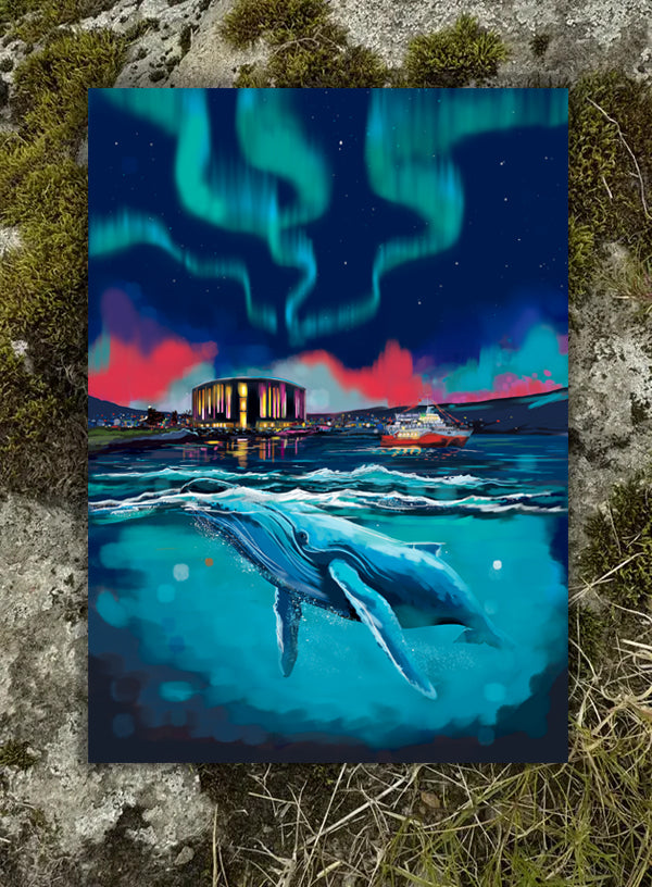 Postcard - Akureyri, Northern Light