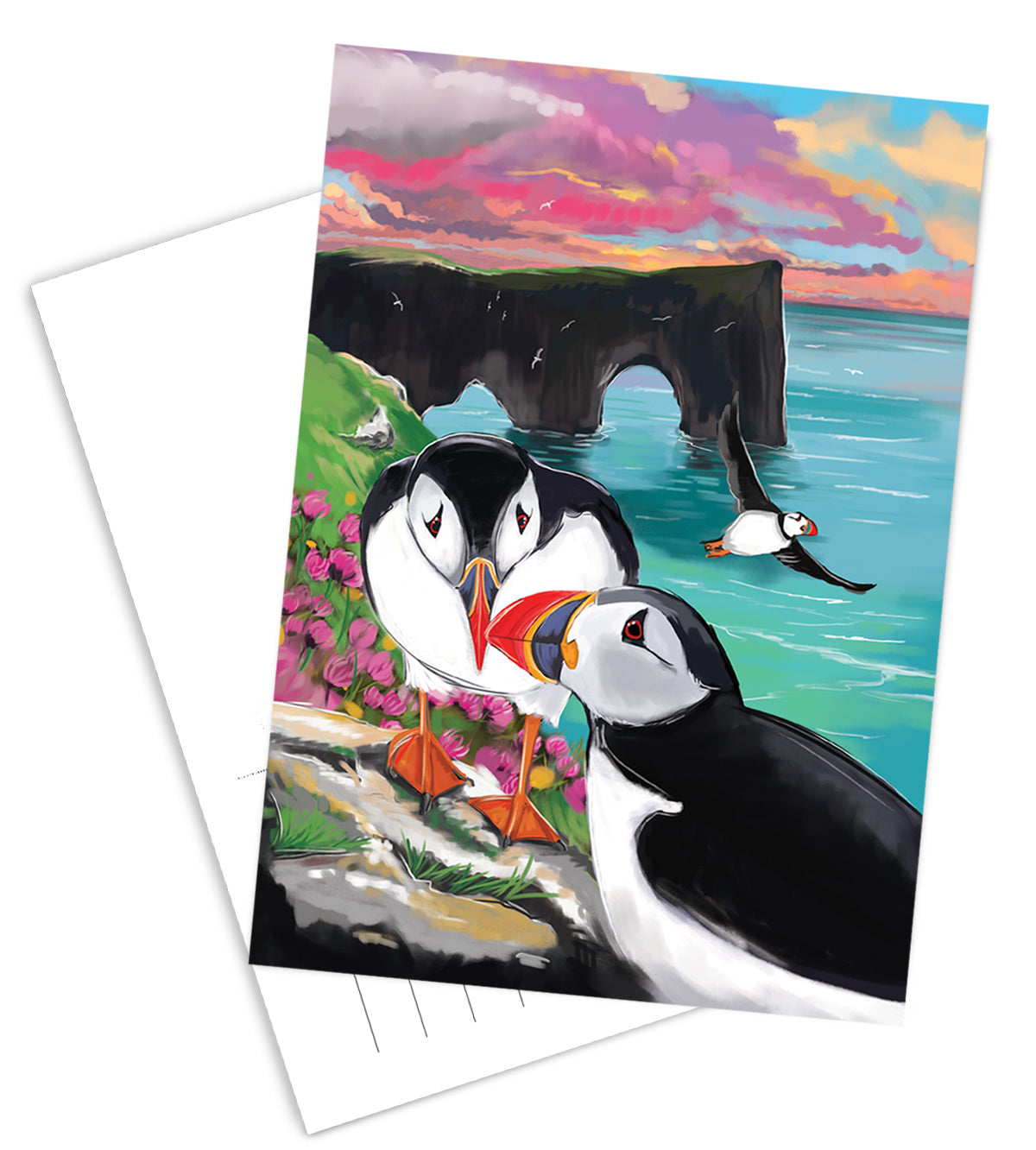 Postcard - Puffins at Dýrholaey