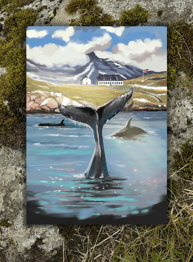 Postcard - Viðey