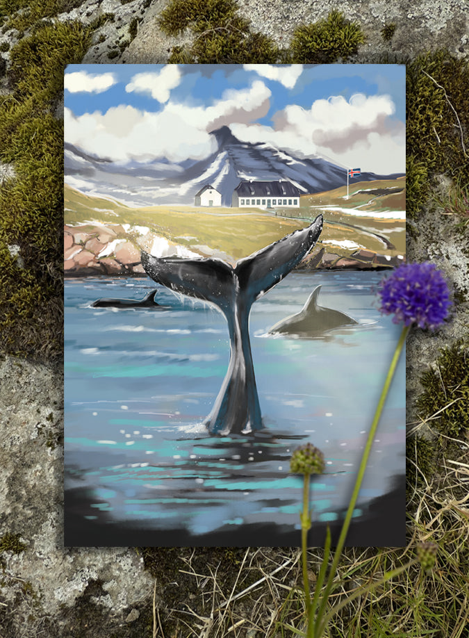 Postcard - Viðey