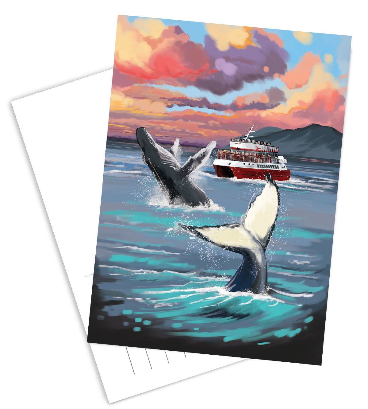 Postcard - Whale Watching