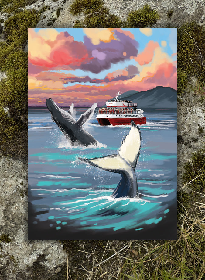 Postcard - Whale Watching