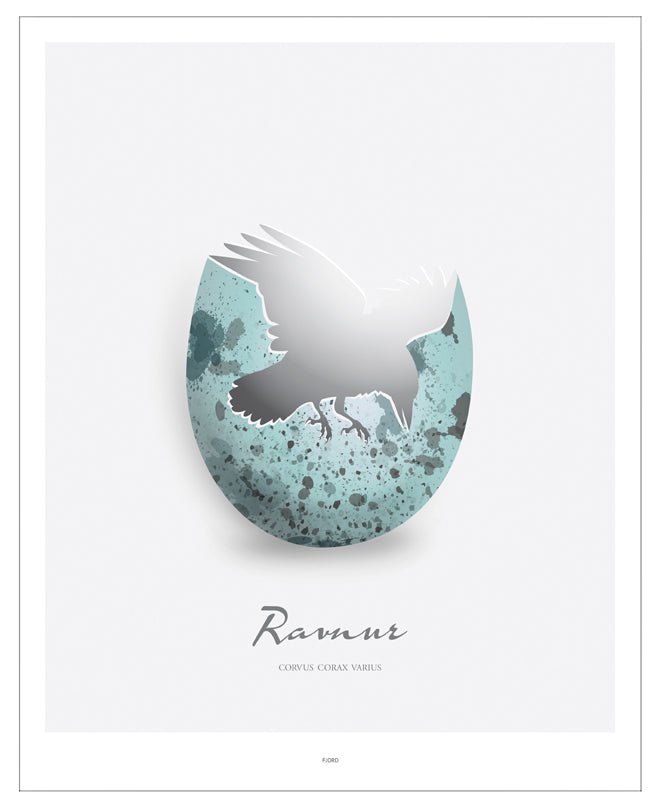 Plakat - Ravnur