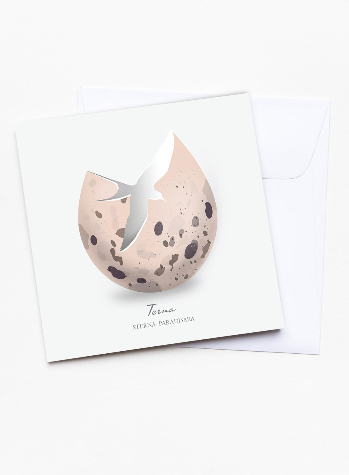 Terna - Greeting card