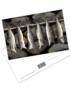 Postcard - Ræstur fiskur